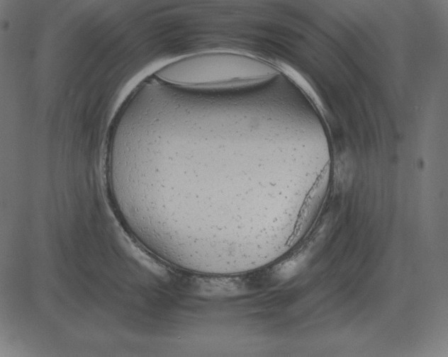 X0000081351149200702020108