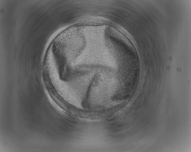 X0000081351152200702020108