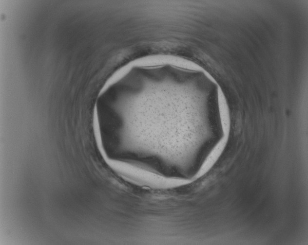 X0000081351153200702020107