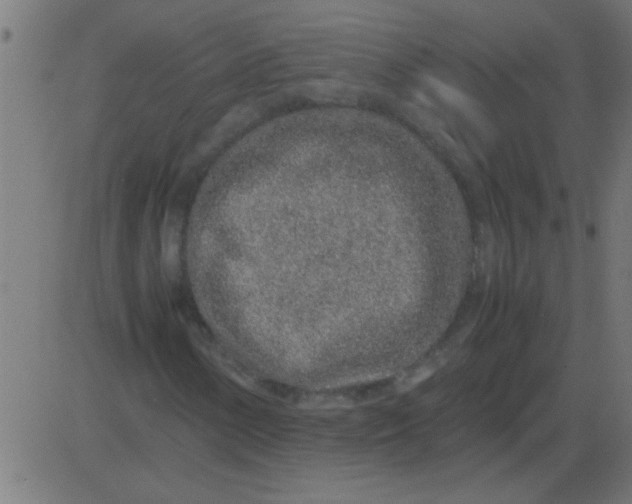 X0000081351154200702020107