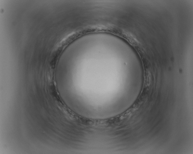 X0000081351158200702020107