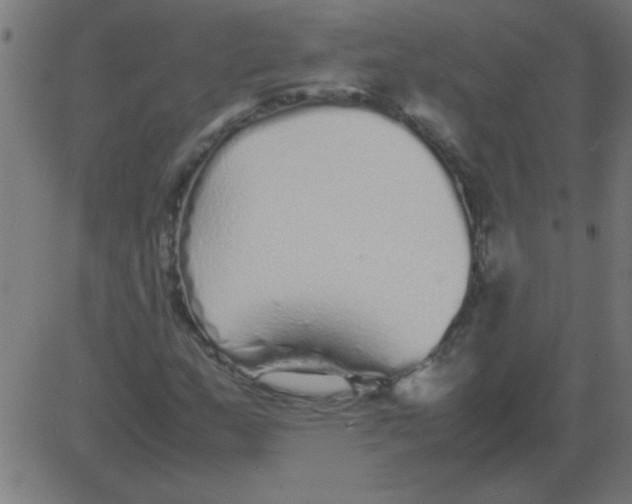 X0000081351159200702020107