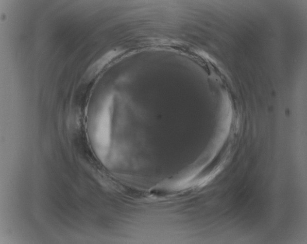 X0000081351161200702020107