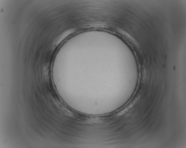X0000081351162200702020107