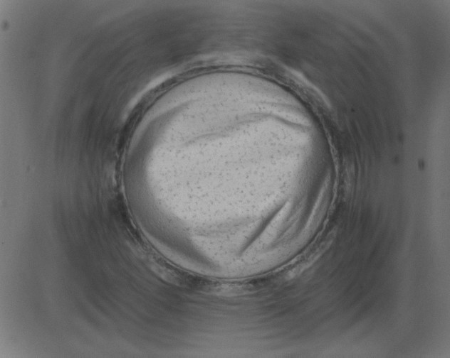X0000081351166200702020107
