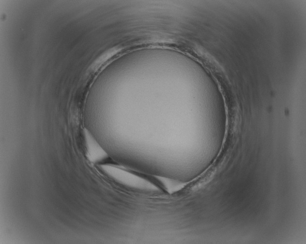 X0000081351169200702020107
