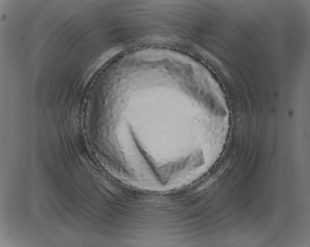 X0000081351170200702020107