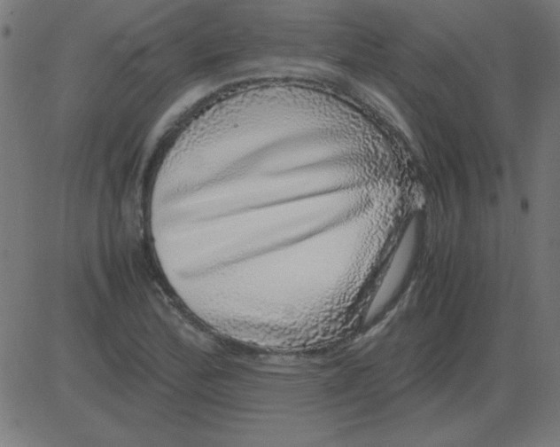 X0000081351172200702020107