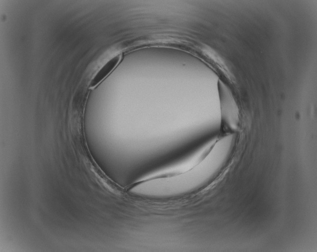 X0000081351177200702020107