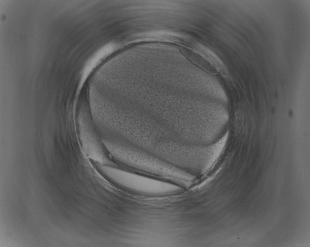 X0000081351180200702020107