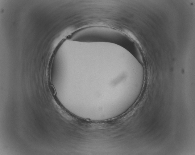 X0000081351181200702020107