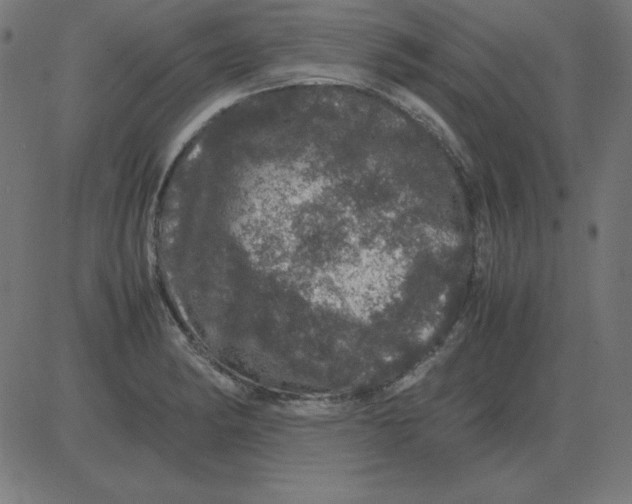 X0000081351182200702020107