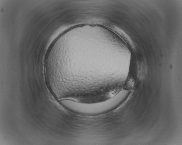 X0000081351184200702020107