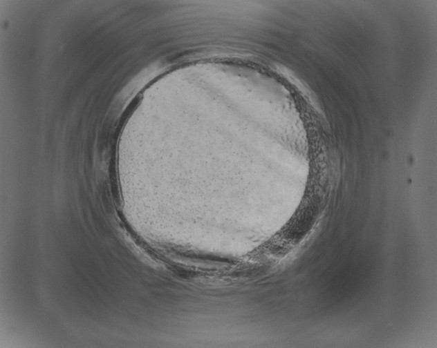 X0000081351185200702020107