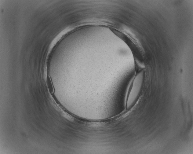 X0000081351188200702020107