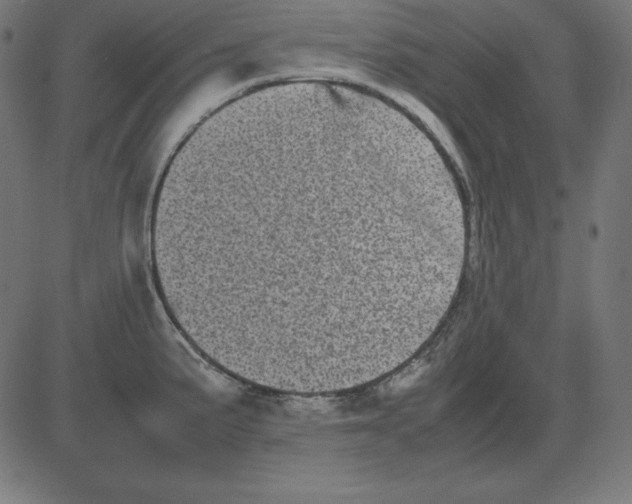 X0000081351191200702020107