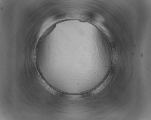 X0000081351192200702020107