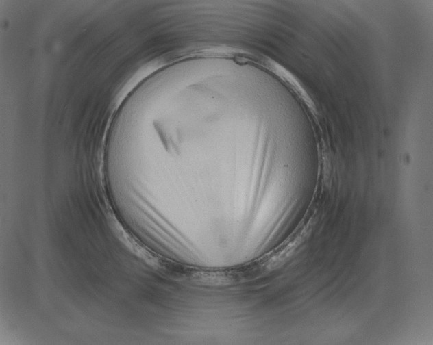 X0000081351194200702020107