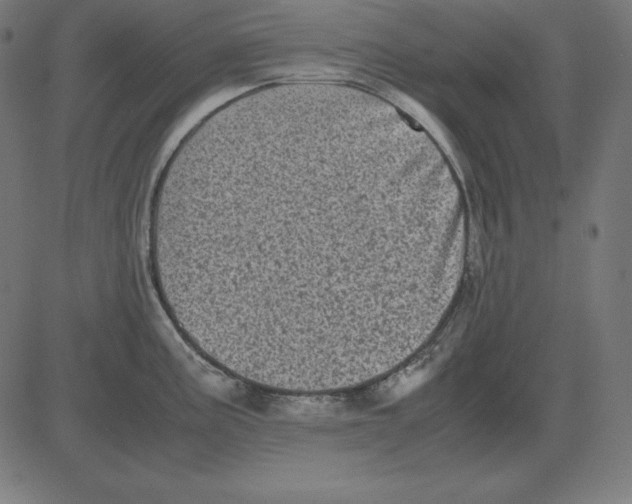 X0000081351195200702020107