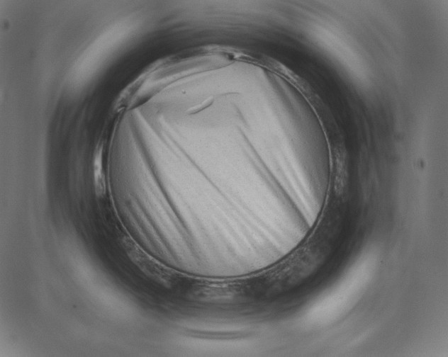 X0000081351198200702020107