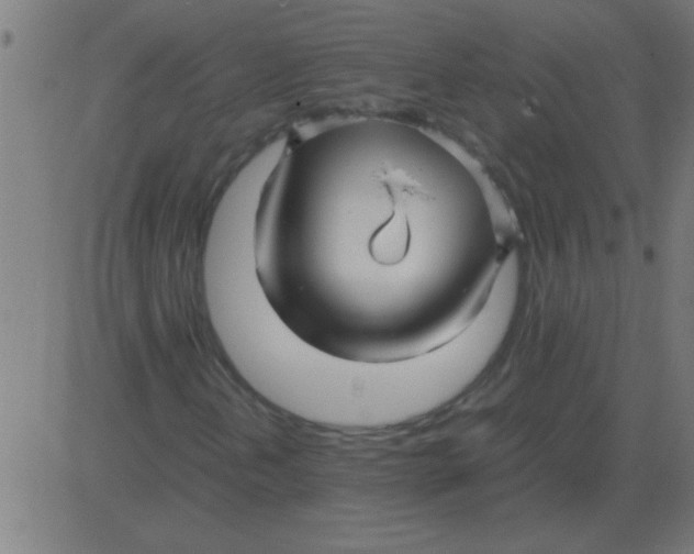 X0000081351202200702020106