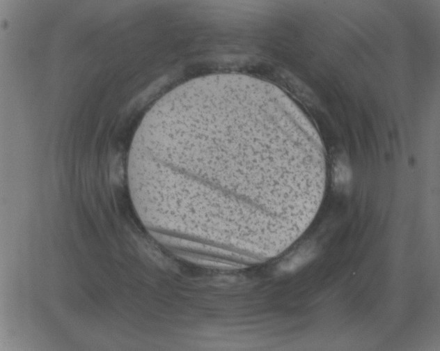 X0000081351204200702020106