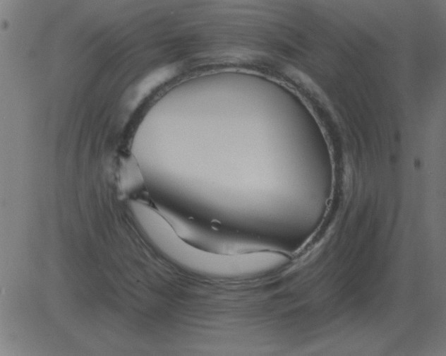 X0000081351210200702020106