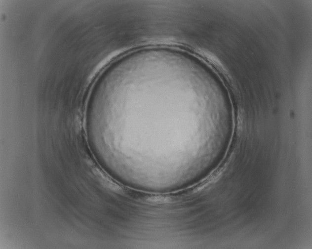 X0000081351212200702020106