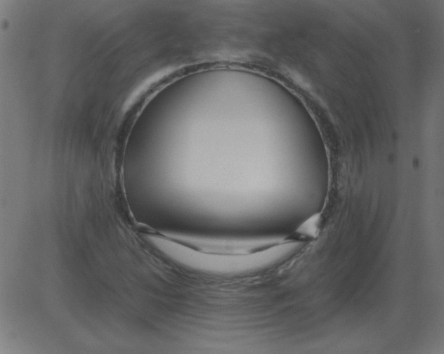 X0000081351214200702020106