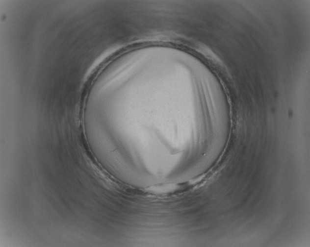 X0000081351216200702020106