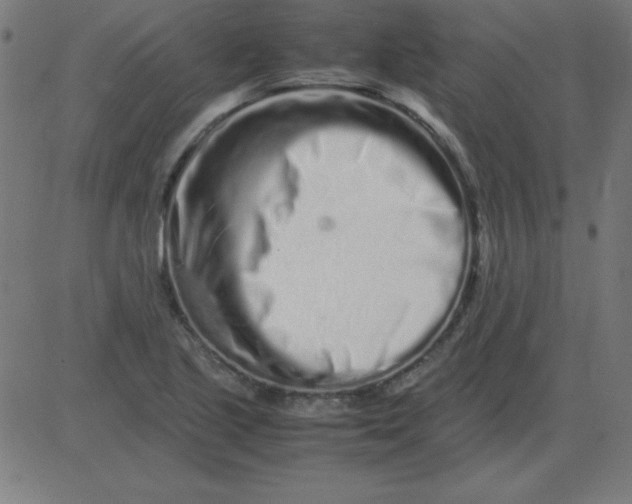 X0000081351221200702020106
