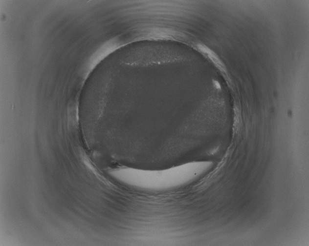 X0000081351226200702020106