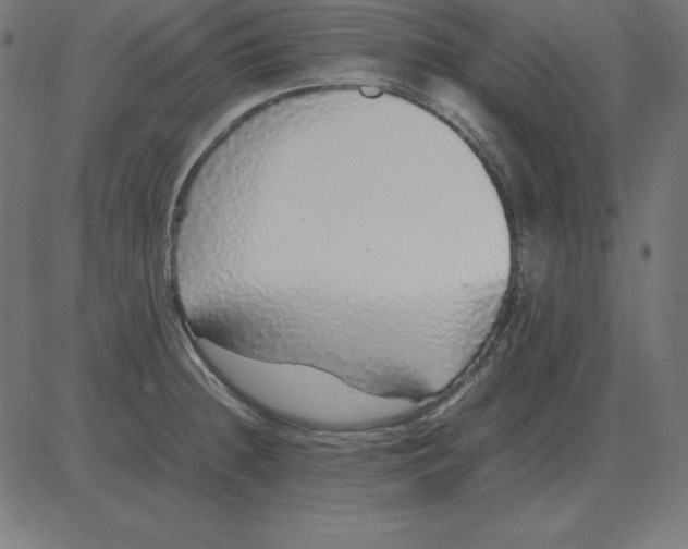 X0000081351236200702020106