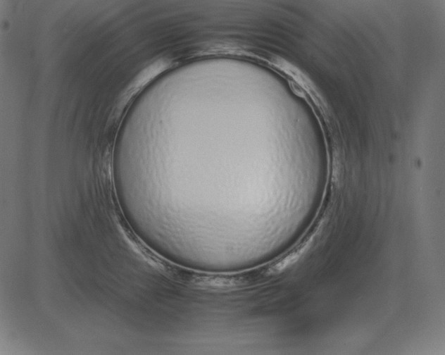 X0000081351241200702020106