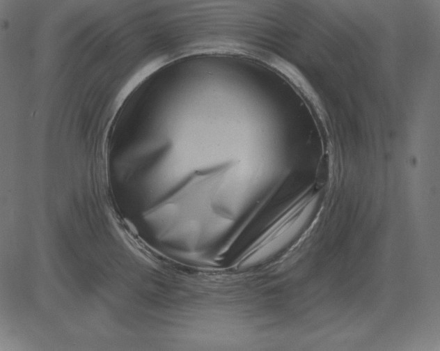 X0000081351242200702020106
