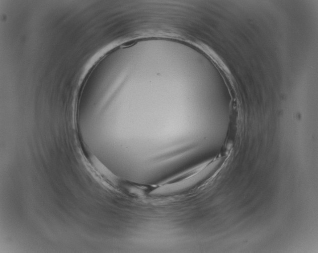 X0000081351246200702020106