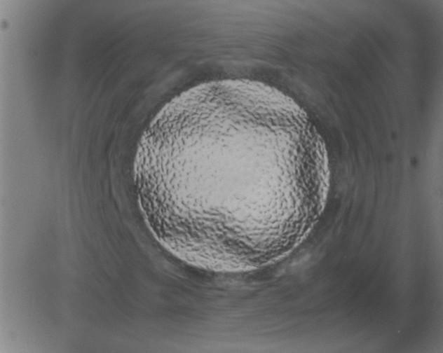 X0000081351249200702020106