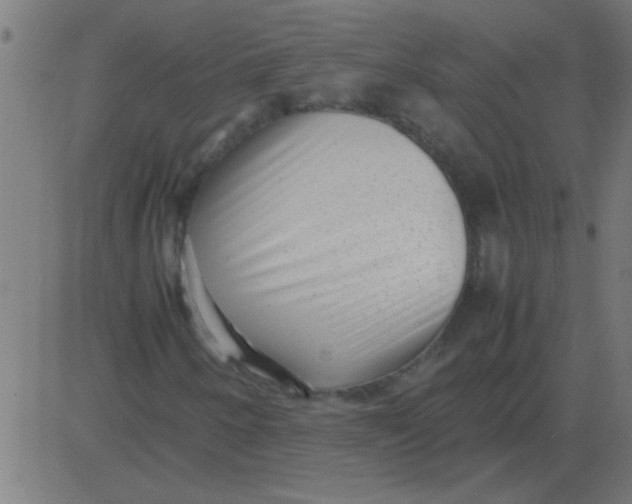 X0000081351250200702020106