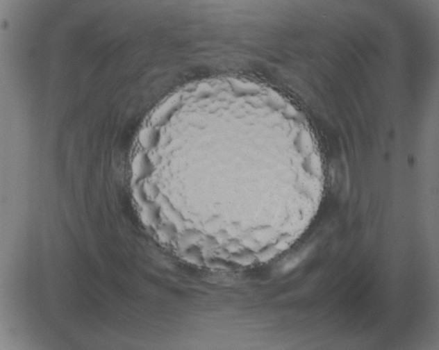 X0000081351251200702020106