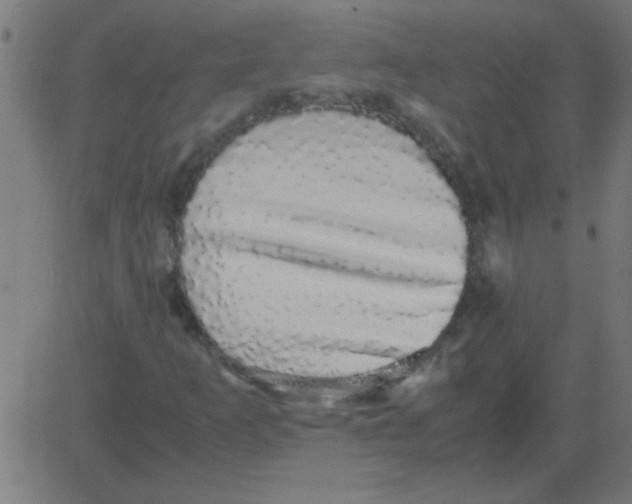 X0000081351253200702020106