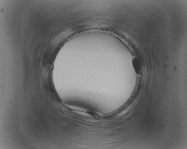 X0000081351257200702020106