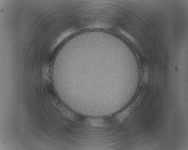 X0000081351258200702020106