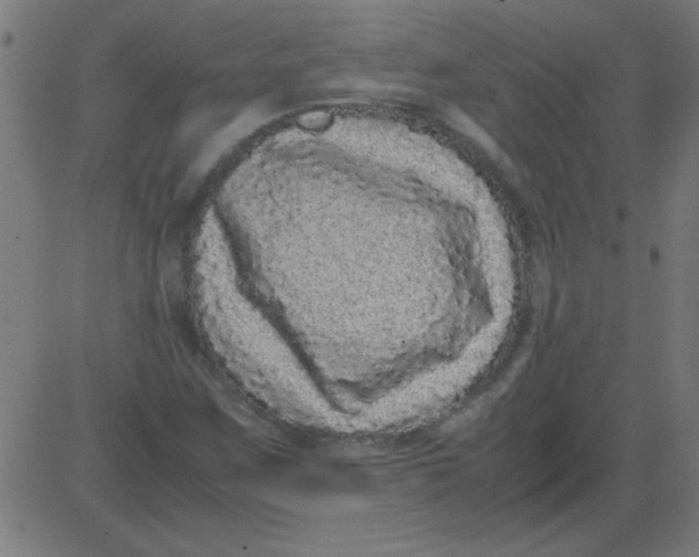 X0000081351259200702020106