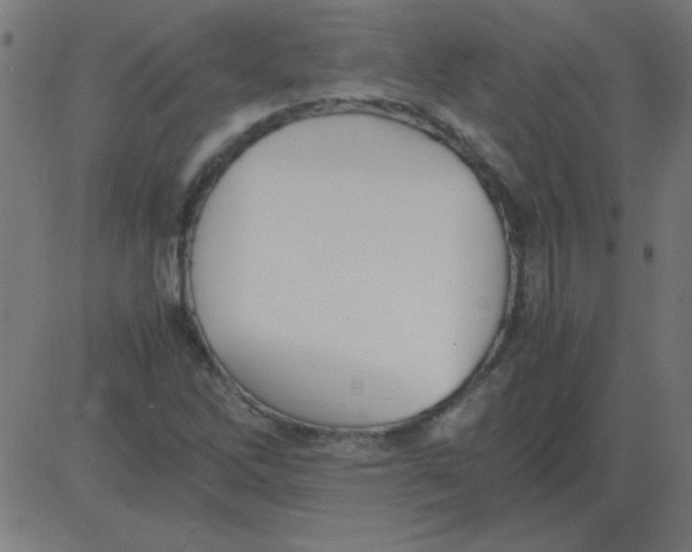 X0000081351262200702020105