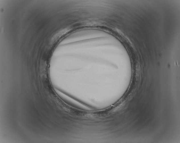 X0000081351265200702020105