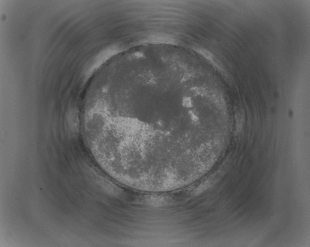 X0000081351266200702020105