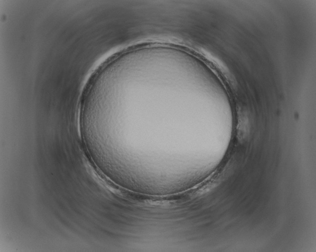 X0000081351272200702020105