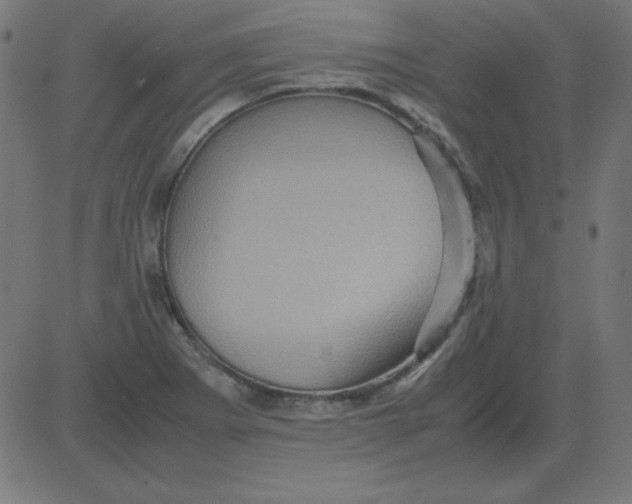 X0000081351273200702020105