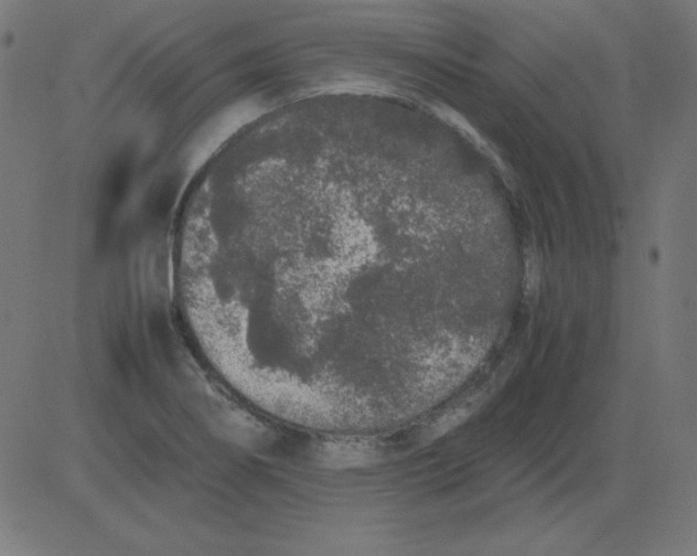 X0000081351274200702020105