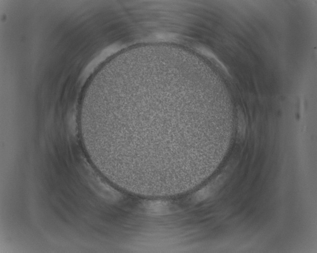 X0000081351278200702020105